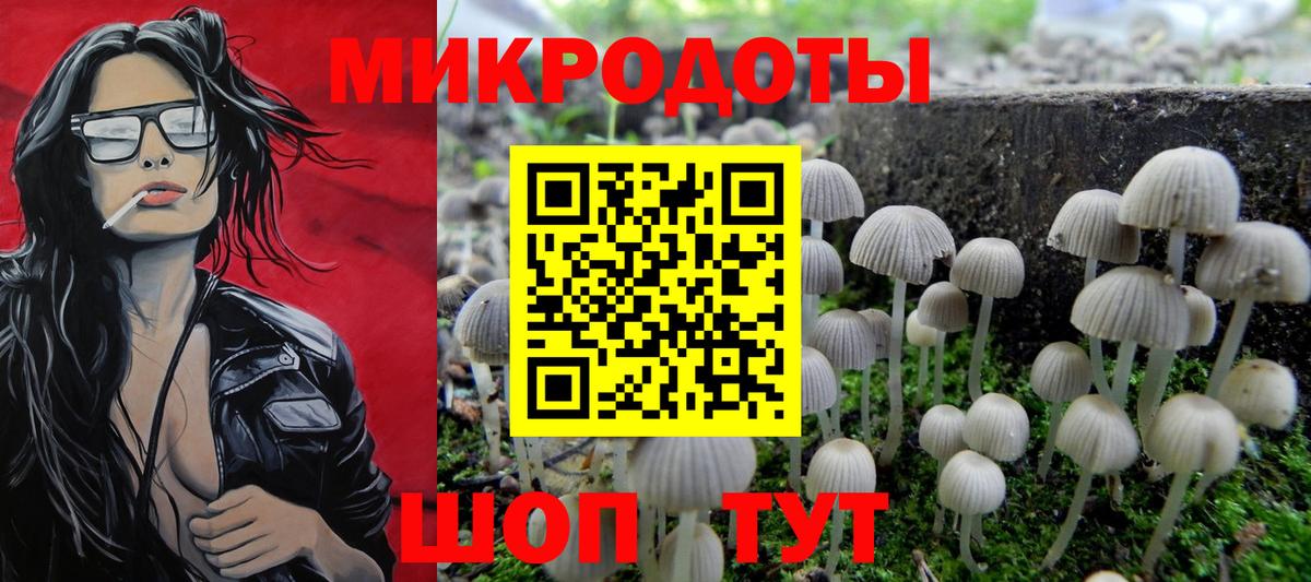 Псилоцибиновые грибы GOLDEN TEACHER Лесосибирск