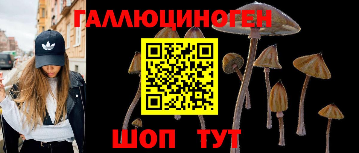 Лесосибирск  Псилоцибиновые грибы мицелий  Вход с VPN  Псилоцибиновые грибы мицелий 