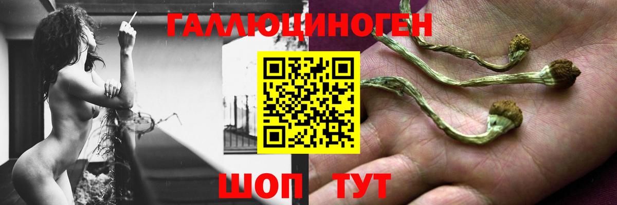 ГАШ  Вход с VPN  Меф МЯУ МЯУ   Cocaine  Гашиш  Лесосибирск  Бошки Шишки  МЕТАМФЕТАМИН 